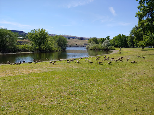 Swallows Park - Visual