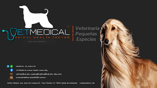 Vet Medical Animal Health Mty