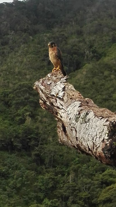 Photos of Finca Manantial-alban Valle