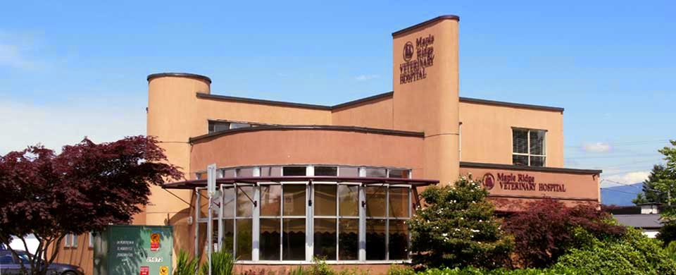 Maple Ridge Veterinary Hospital