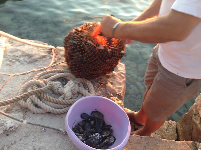 Konoba Adio Mare