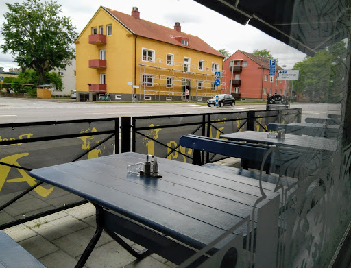 Zorros kök och bar