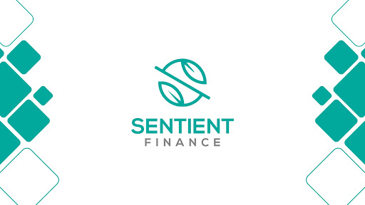 Sentient Finance - Thumbnail