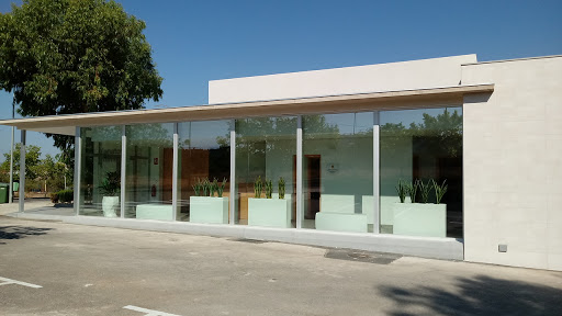Tanatori municipal