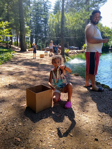 Smith's Mt. St. Helena Trout Farm & Hatchery Gallery - United States