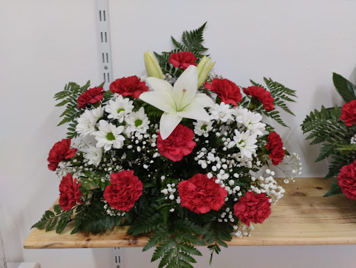Flores y plantas Karolina - Thumbnail