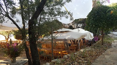 Photos of Tawlet Biomass