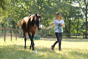 Photo n°6 de MGA ACCOMPAGNEMENT - Bilan de compétences - Coaching professionnel / Equicoaching - Evolution & Transition professionnelle à Héric (Conseiller.ère à l'emploi)
