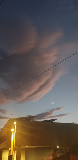 El Cardonal - Thumbnail