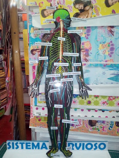 store
