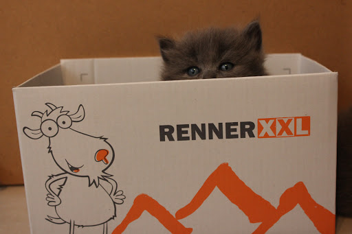 RennerXXL - Visual