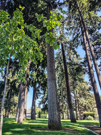 Carter Park - Visual