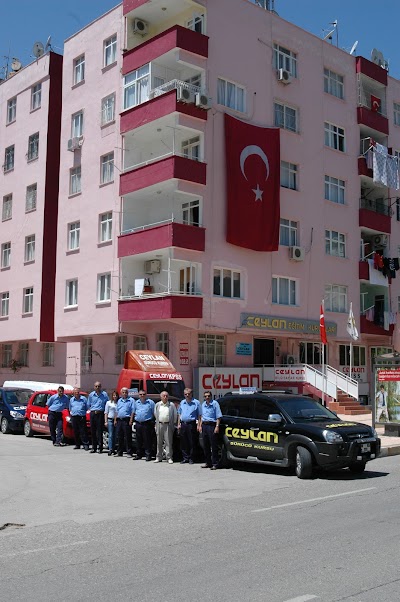 Photos of Ceylan Surucu Kursu