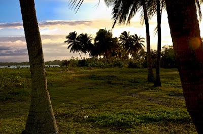 Photos of Hostal Palmeras de Pascuas