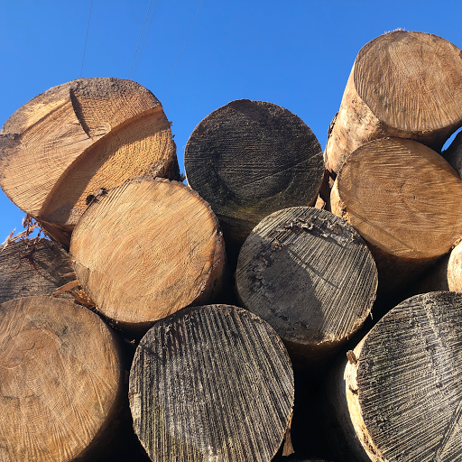The Historic Phillips Forest Products Sawmill - The oldest family owned sawmill in Texas - Thumbnail