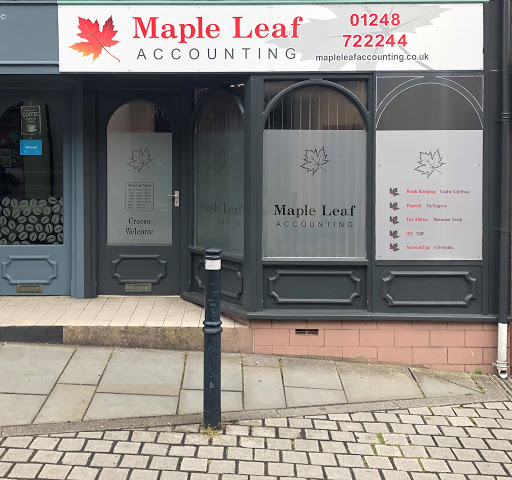 Maple Leaf Accounting - Visual