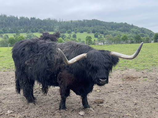 King Tours Scotland - Thumbnail