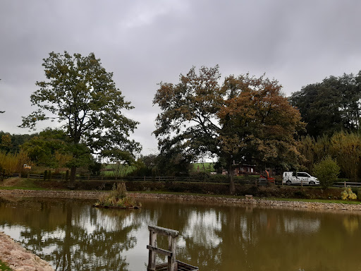 Arbres Et Paysages Zettl - Thumbnail