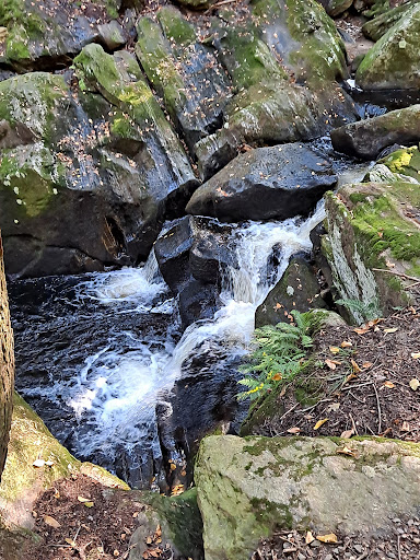 Enders State Forest - Thumbnail