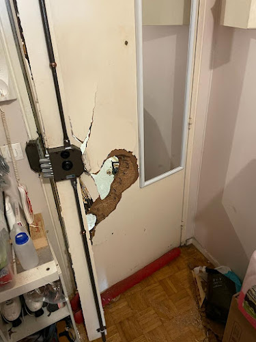 Albert et Fils - Maisons Alfort - Pontault-Combault