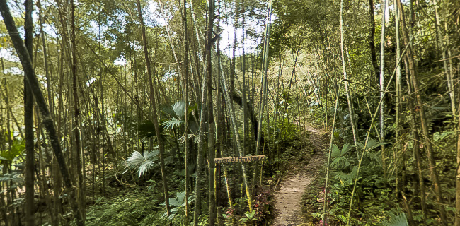 Teléfono de Paz Yaku