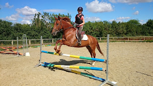 Photo n°2 de Telligo à Arcueil (Agence de voyages)