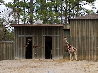 Photos of Birmingham Zoo