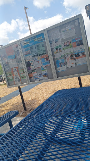 Olson Park - Visual