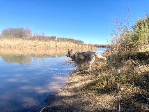 Palo Verde County Park - Thumbnail