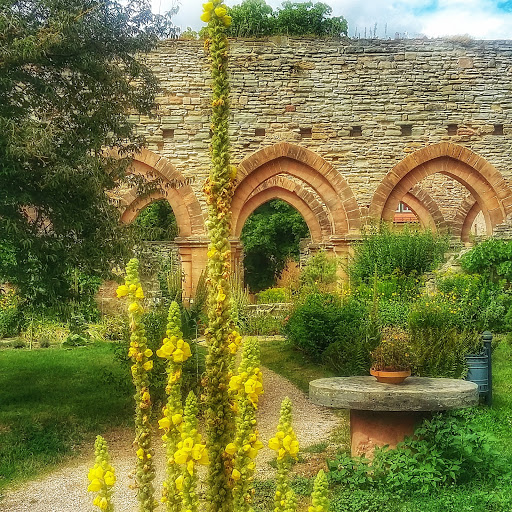 Stiftung Kloster und Kaiserpfalz Memleben - Thumbnail