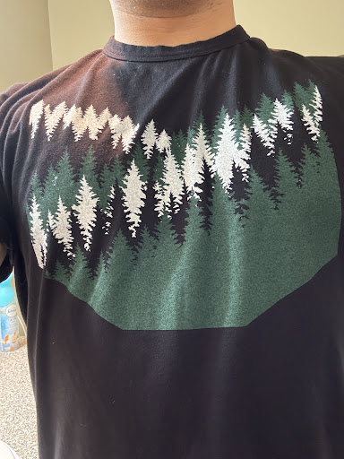 Fireside Pine - Visual