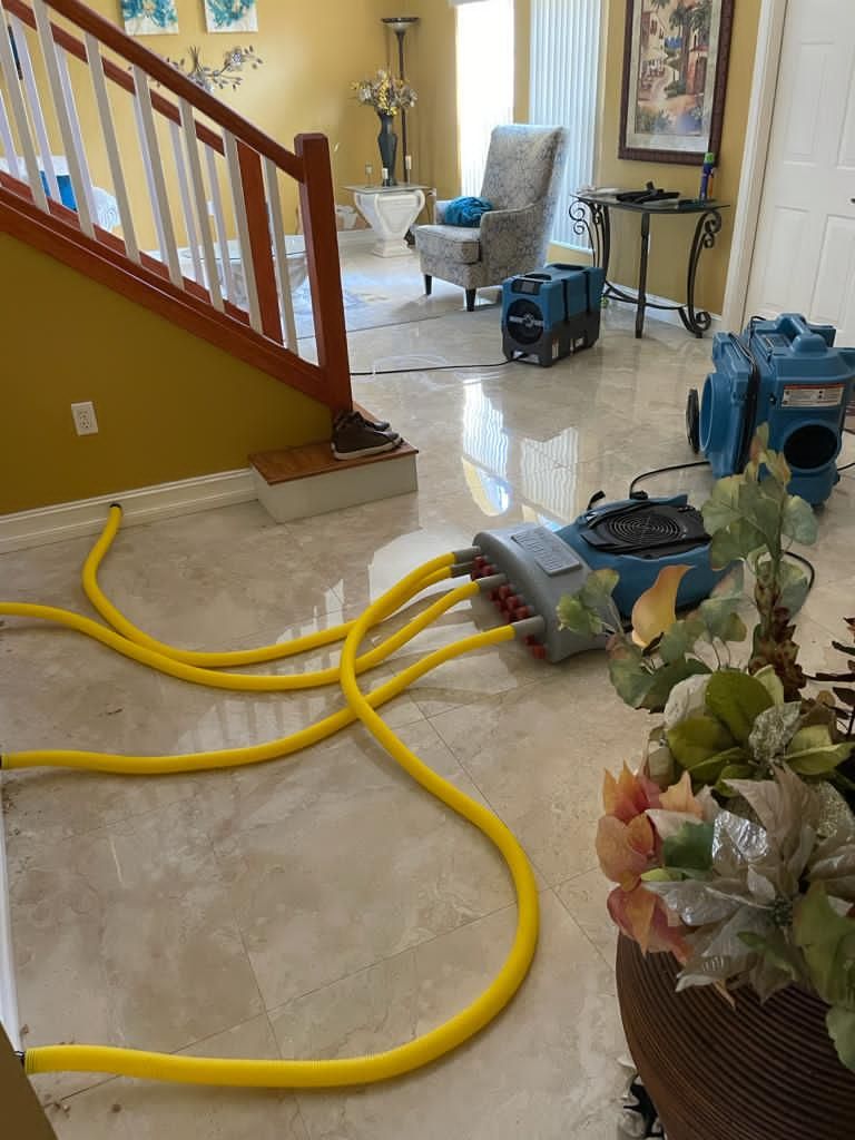 Ultra Hygiene Services (UHS Mold) photo
