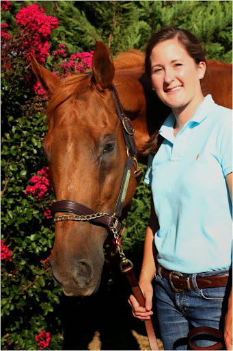 Four Star Equine PLLC, Veterinary Services - Thumbnail