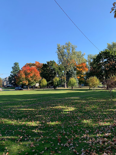Danforth Park - Thumbnail