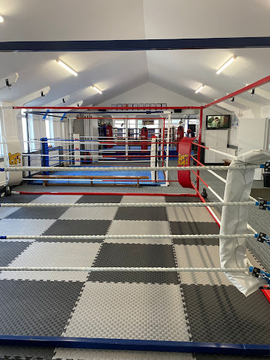 Blue flames Boxing Taunton - Thumbnail