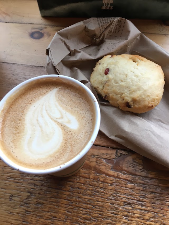 Snowy Owl Coffee House