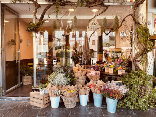 Frida's Rovigo | Italian Flower Stores - Thumbnail