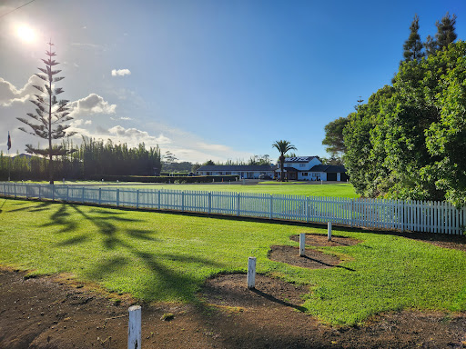 Norfolk Motel & Campervan Park Gallery - New Zealand