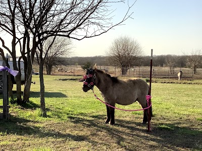 Four Points Ranch and Petting Zoo