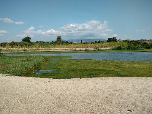 Torre del Crocchio - Thumbnail