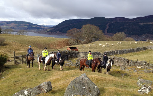 Loch Ness Riding - Experienced riders only! Gallery - United Kingdom