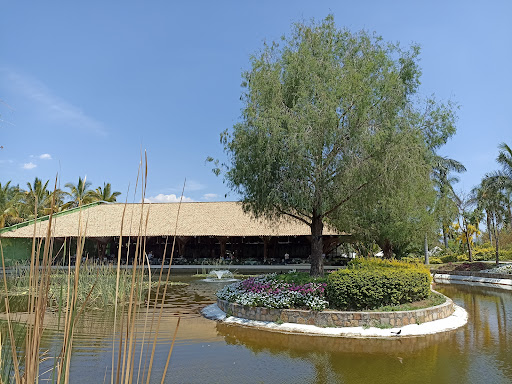 Lago Central - Visual