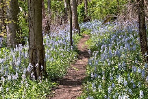 Prophetstown Fen Nature Preserve Gallery - United States