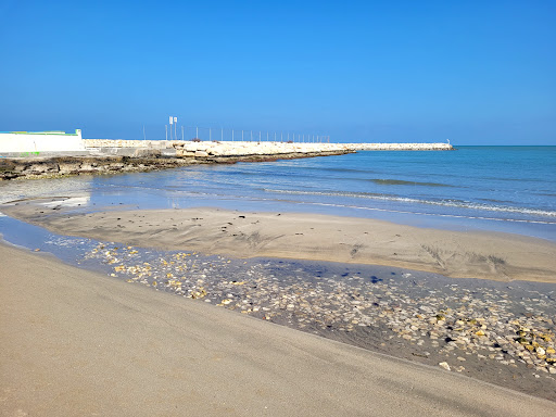 Fesca-S.Girolamo - Thumbnail