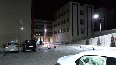 Nigde State Hospital