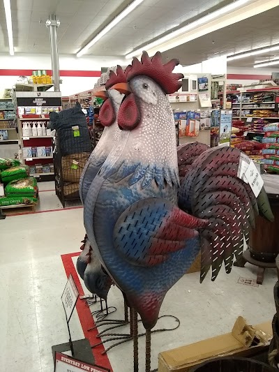 Tractor Supply Co.