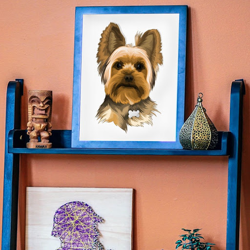 DogFace, Inc - Visual