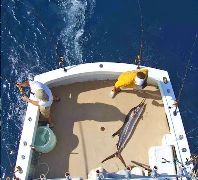 Photos of A1A Florida Keys Fishing