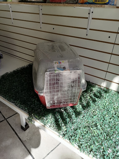 CLINICA VETERINARIA "EMISGO" - Thumbnail