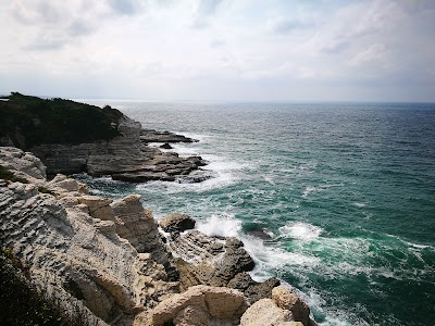 Photos of Danube Surf House and Academy
